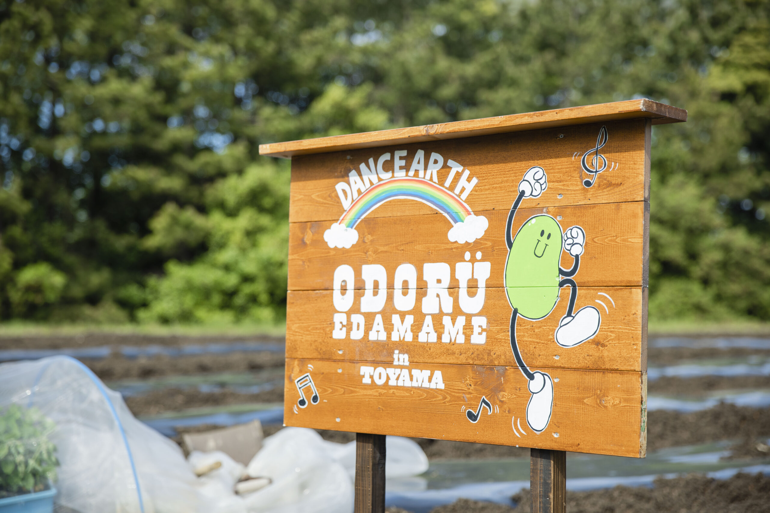 オドル枝豆看板